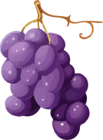 grape_170