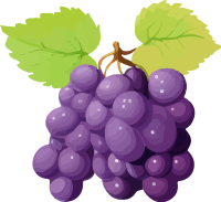 grape_172