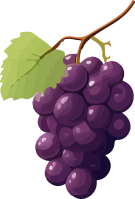 Grapes
