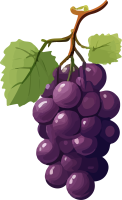 Grapes