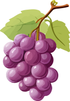 grape_175