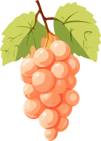 Grapes