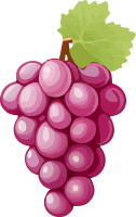 grape_158