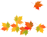 다양한 색깔의 낙엽들