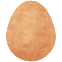 Egg
