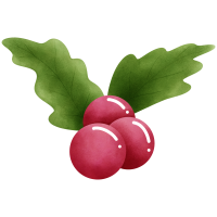 Christmas holly berries with green leaves illustration.