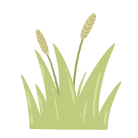 Grass illustration drawing painting