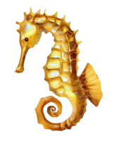 watercolor illustration of a golden seahorse