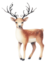 Watercolor illustration of cute deer and reindeer