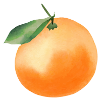 Watercolor illustration of delicious-looking mandarin oranges