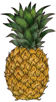 pineapple - 1