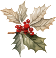 Christmas and Happy New Year