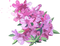 Azalea flowers blooming under spring garden trees