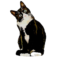 260123 cat watercolor