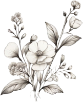 ほのかなイパリスケッチ