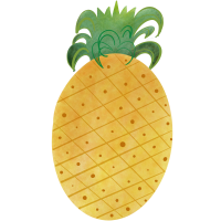 Pineapple tropical fruit