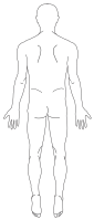 신체 일러스트