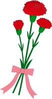 carnation for the mother's day