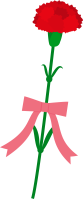 carnation for the mother's day