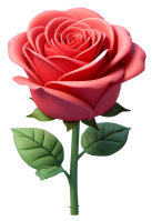 0405-3d,장미한송이가시