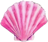 Clip art of scallop shell-watercolor touch