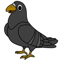pigeon
