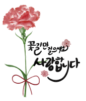 카네이션_kr