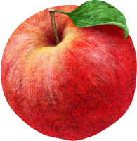 사과