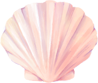 shell1