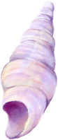 shell2