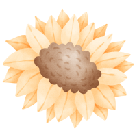 Sunny Sunflower Clipart Collection