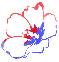 무궁화라인_태극