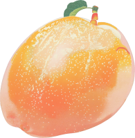 과일 채소 일러스트