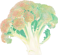 과일 채소 일러스트