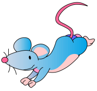 rat2024_005