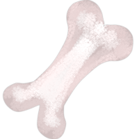 Bone