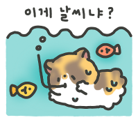 고양이