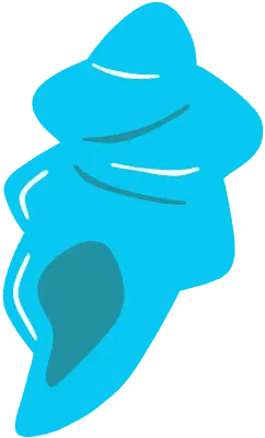Light blue conch shell