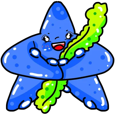 sea starfish 202407_11