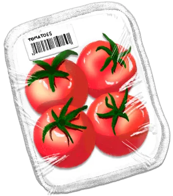Tomatoes sealed in white plastic package fresh supermarket, watercolor drawing vector illustration