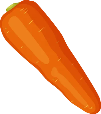 carrot02