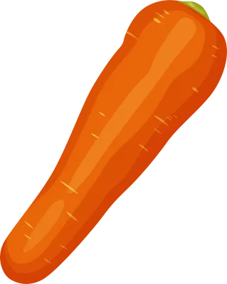 carrot01