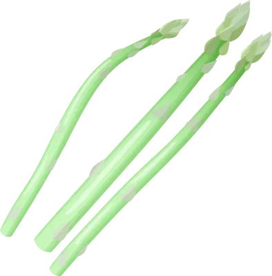 asparagus02