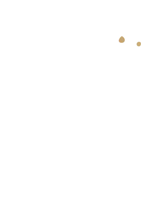 전국지도 한반도 영역