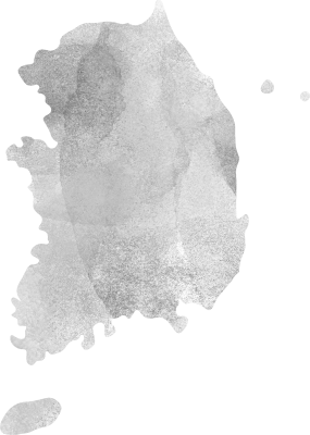 한국 지도 질감