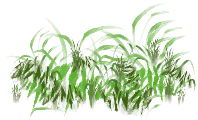 정글 풀 일러스트