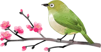 梅の枝にとまるメジロの水彩イラスト