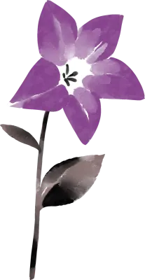 桔梗の墨絵イラスト