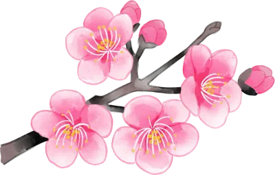 梅の枝の水彩イラスト