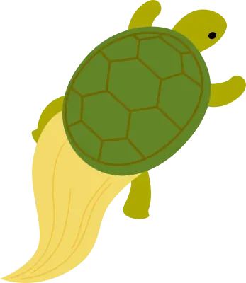 蓑亀のイラスト